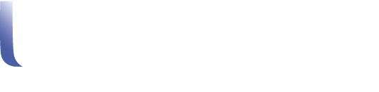 Diamond — Paint Protection by WindowBlue